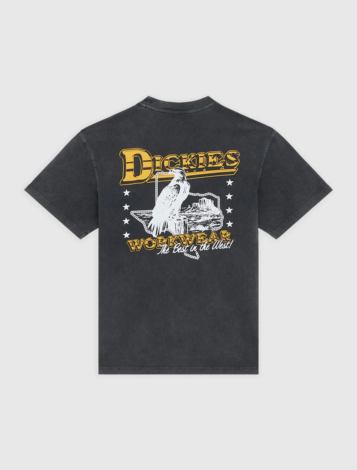 T-shirt Dickies Mi-lourd Gainesville – black