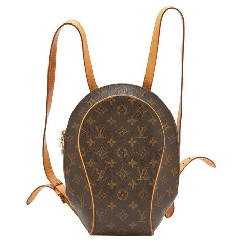 Sac ellipse backpack