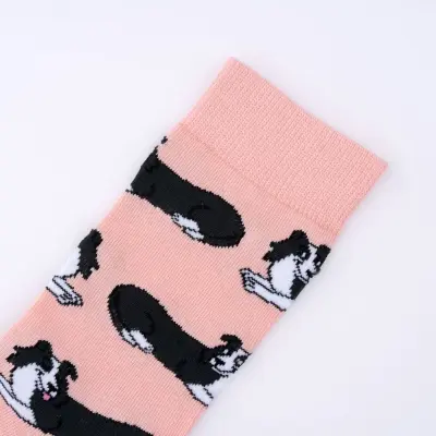 Chaussettes Border Collie Coucou Suzette — photo 2