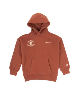PTC Junior Hoodie Maroon — photo 1