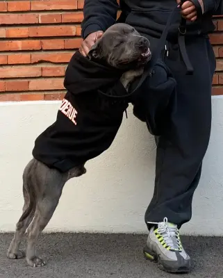 Hoodie Alumni — photo 3