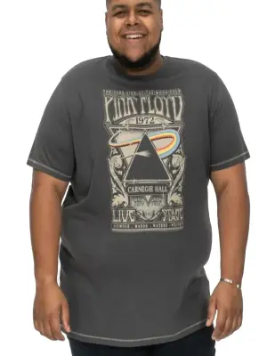 DUKE TEE SHIRT PINK FLOYD Gris — photo 2