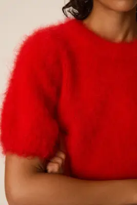 Pull Alexa Rouge — photo 2