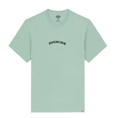 DICKIES TEE SHIRT IMPRIME DOS Vert
