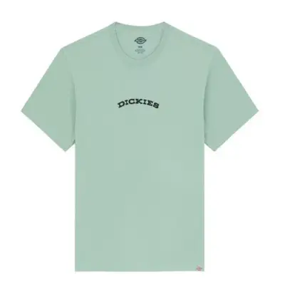 DICKIES TEE SHIRT IMPRIME DOS Vert — photo 1