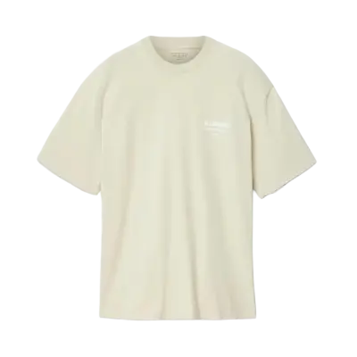 ALLSAINTS Dreamer Short Sleeve Oversized Graphic T-Shirt Powdered Green — photo 1