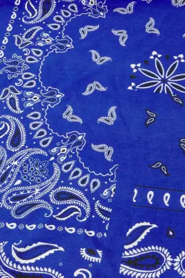 Coupon 3m en viscose bandana — photo 2