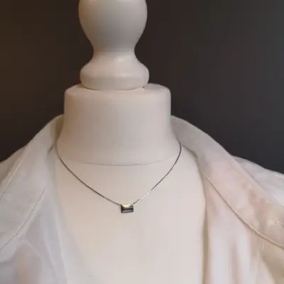 Finesse, the classic metal plate necklace. — photo 1