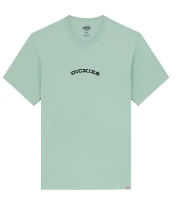DICKIES TEE SHIRT IMPRIME DOS Vert — photo 2