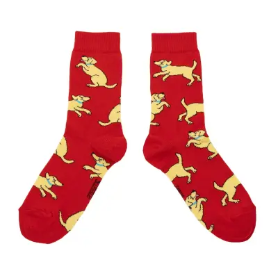 Chaussettes Golden Retriever Coucou Suzette — photo 3