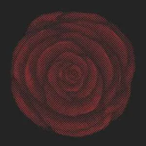 YOUNG WIDOWS – future heart – VINYL 7INCH (black)