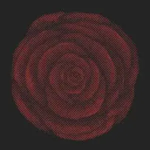 YOUNG WIDOWS – future heart – VINYL 7INCH (black)
