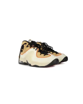 Air Penny 2 Wheat — photo 2