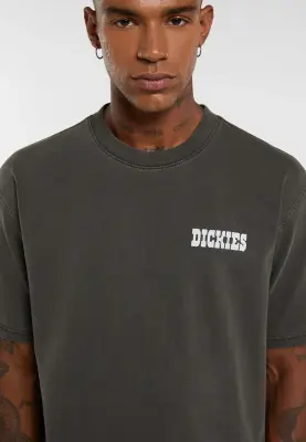 DICKIES TEE SHIRT BUCHTELL Imprimé Noir — photo 5