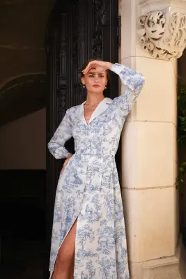 Catalina Toile De Jouy Dress — photo 5