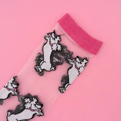 Chaussettes transparentes Caniche Coucou Suzette — photo 3