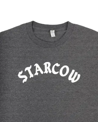 Arc Script Logo Tee Gris — photo 3