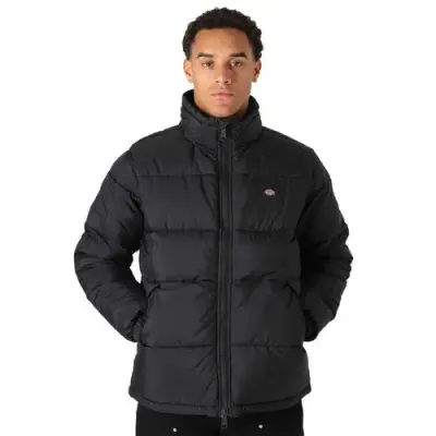 DICKIES DOUDOUNE WALDENBURG Noir — photo 1