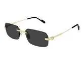 Lunettes ct0271s