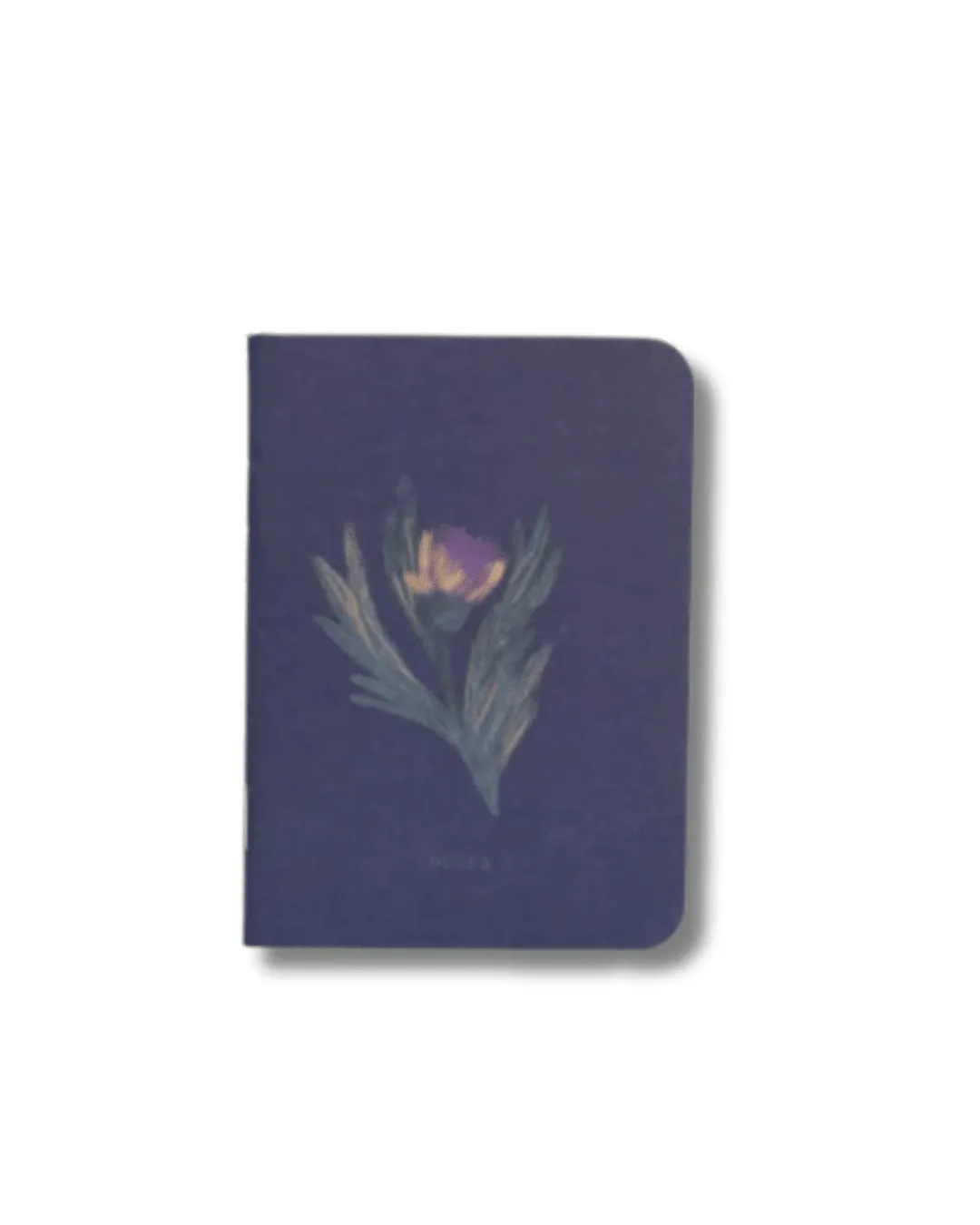 Carnet de poche Alba