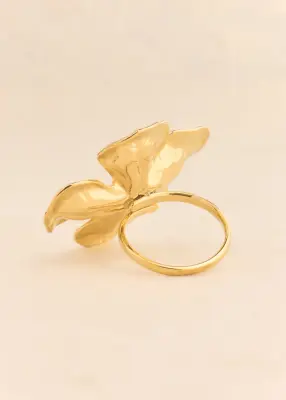 Bague Akma — photo 4