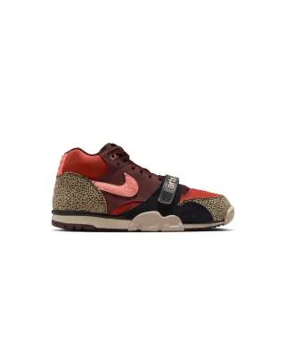 SB Air Trainer 1 X Arts-Rec Limestone Pink Quartz — photo 1