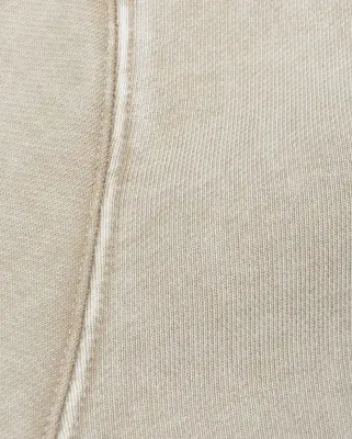 Loopback Logo Zip Hooded Sweater Irish Cream — photo 5