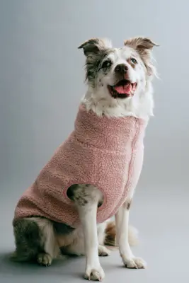 Manteau pour chien en tissu Teddy bear - Rose clair — photo 3