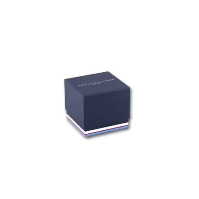 Montre Homme Tommy Hilfiger Damon 1791421 — photo 2