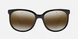 Lunettes de soleil 32