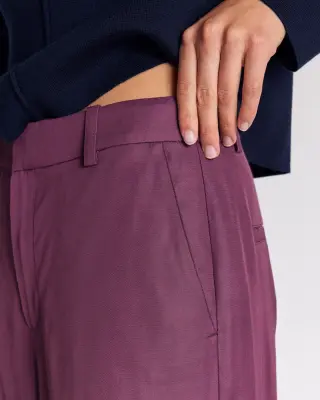 Pantalon Ferdinand prune — photo 4