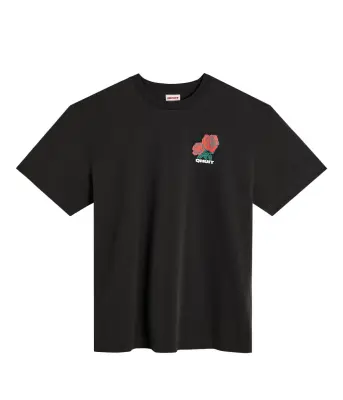 Qhuit – Tee CLD Roses Black — photo 1