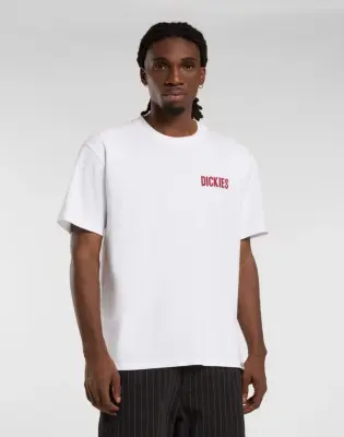 DICKIES TEE SHIRT Blanc imprimé — photo 3