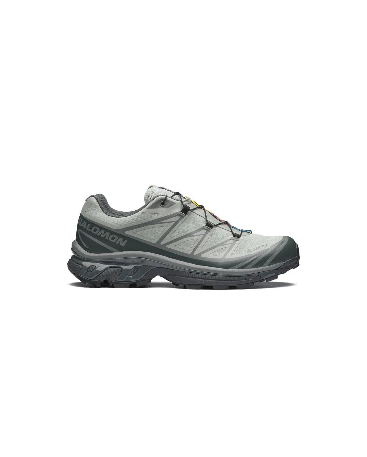 XT-6 GORE-TEX Wrought Iron Urban Chic Sedona Sage