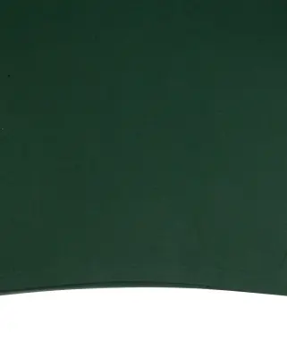 Tiger Tee Forest Green — photo 4