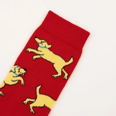 Chaussettes Golden Retriever Coucou Suzette — photo 2