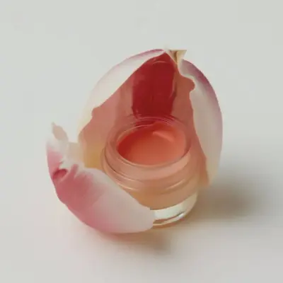 BAUME À LÈVRES ROSE DE FRANCE  – ÉDITION TRÈS LIMITÉE ODEN — photo 2