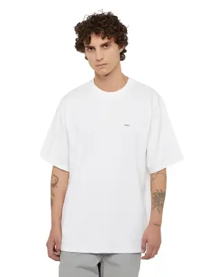 DICKIES TEE SHIRT Blanc — photo 5