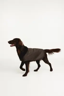 Manteau ciré pour chien - Marron foncé — photo 3