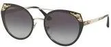 Lunettes bv 6095