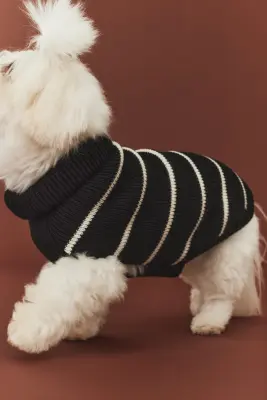 Pull pour chien en maille côtelée - Noir/rayures blanches — photo 5