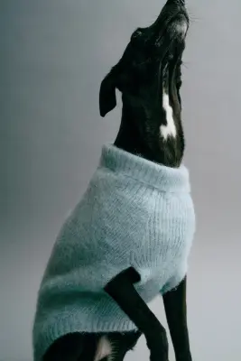 Pull pour chien en maille duveteuse - Bleu ancien clair — photo 3
