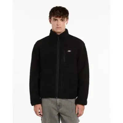 DICKIES POLAIRE MOUNT HOPE Noir — photo 1