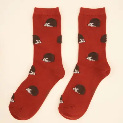 Chaussettes Hérisson couleur brique – Coucou Suzette — photo 4