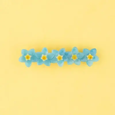 Barrette Myosotis Coucou Suzette — photo 5