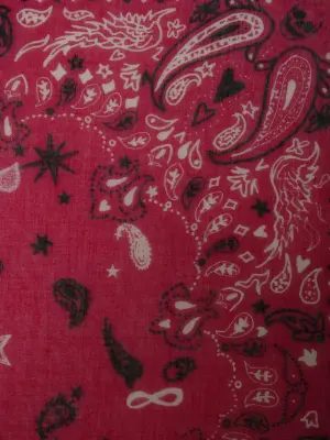 Foulard Maddie Bandana 120 — photo 3