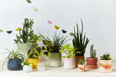 Cache-pot ombré en laine 14 cm – Aveva