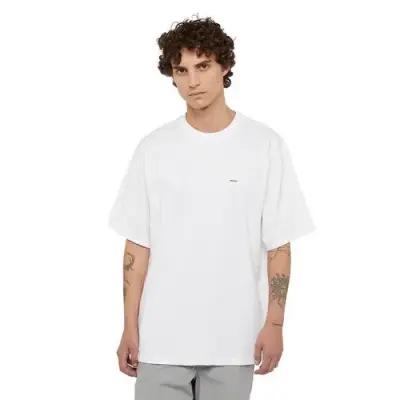 DICKIES TEE SHIRT Blanc — photo 1
