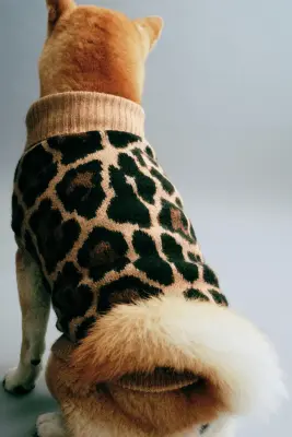 Pull pour chien - Beige foncé/imprimé léopard — photo 4