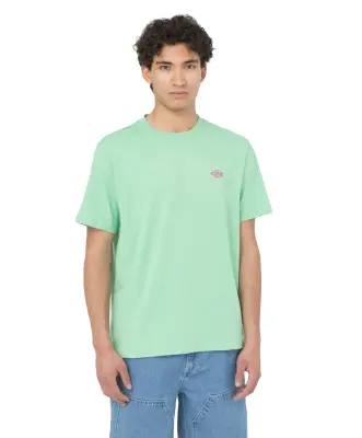 DICKIES MAPLETON TEE SHIRT Vert — photo 2